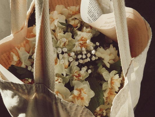 Seasonal Collection